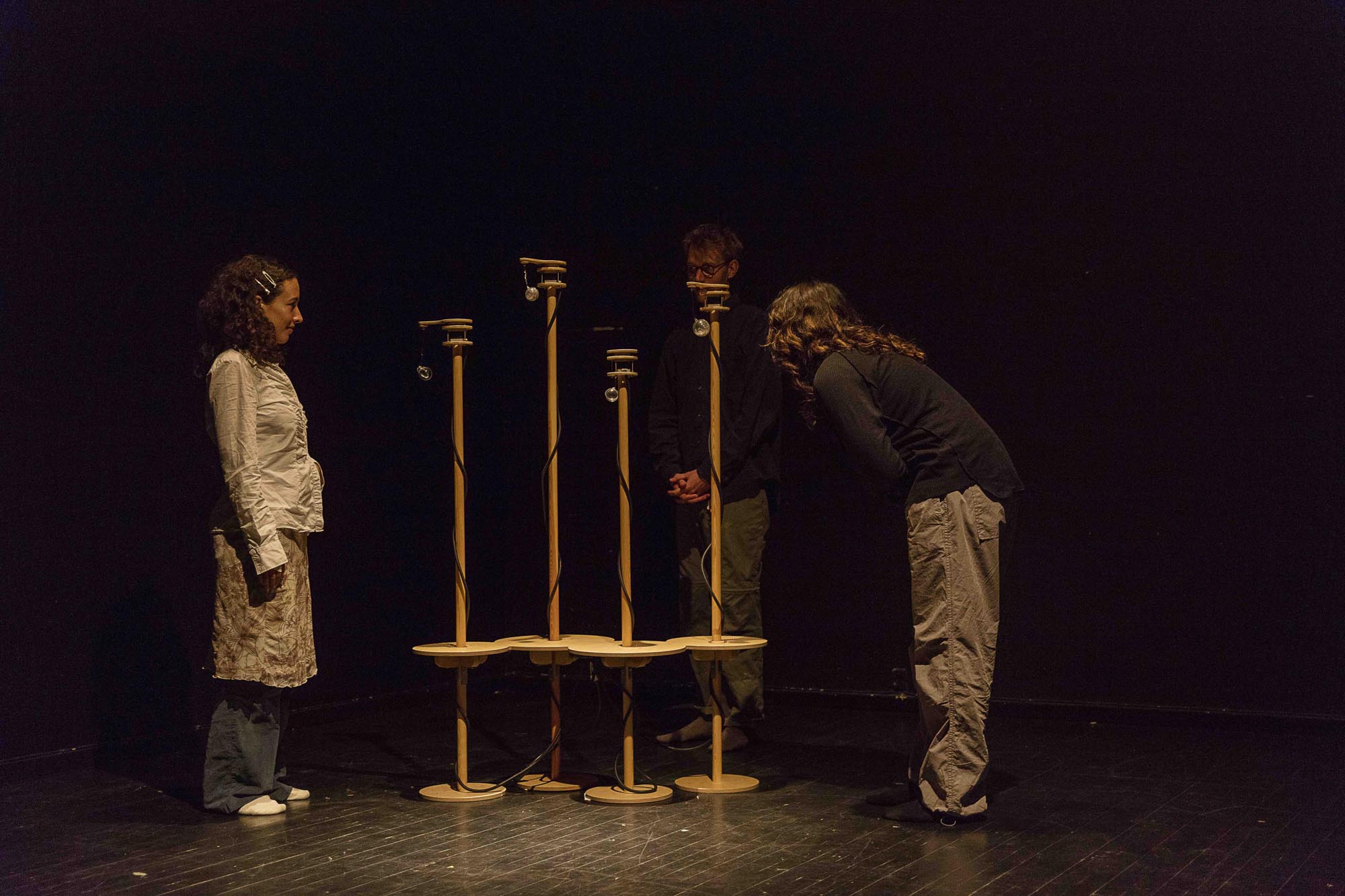 The Forests Trial